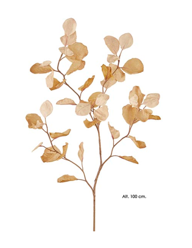 RAMA EUCALYPTUS DRY BEIGE