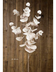 RAMA EUCALYPTUS BEIGE 85CM