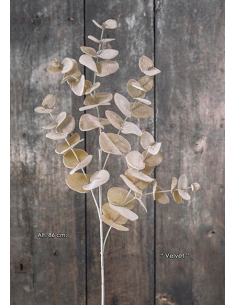 RAMA EUCALYPTUS BEIGE DORADO