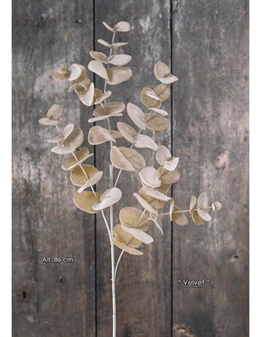 RAMA EUCALYPTUS BEIGE DORADO
