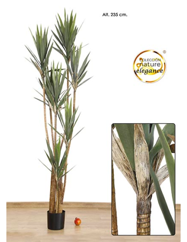 MACETA DE YUCCA VERDE