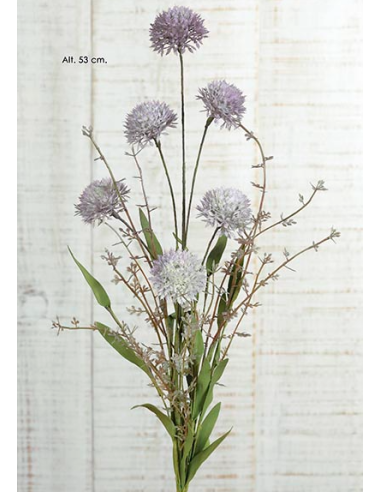 RAMA ALLIUM LILA 53CM