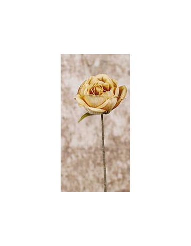 ROSA PICK MOSTAZA 28 CM