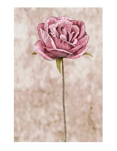 ROSA PICK MALVA 28 CM