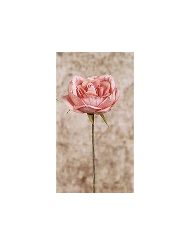 ROSA PICK ROSA 28 CM