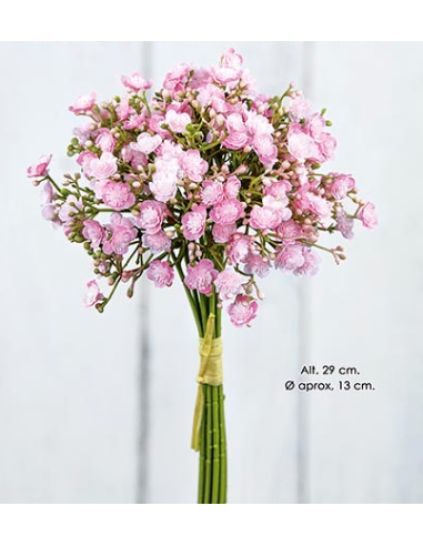 RAMO PICK OPEN GYPSO ROSA