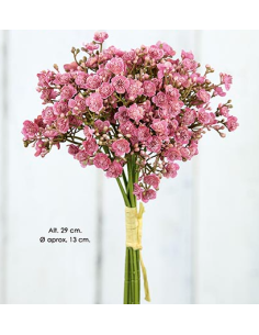 RAMO PICK OPEN GYPSO MALVA