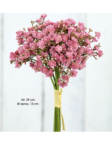 RAMO PICK OPEN GYPSO MALVA