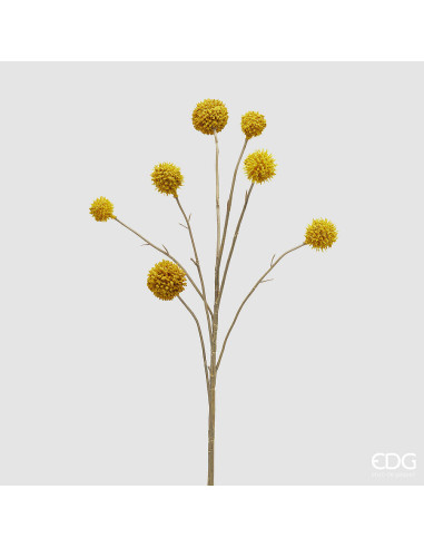 RAMO DE CRASPEDIA AMARILLA