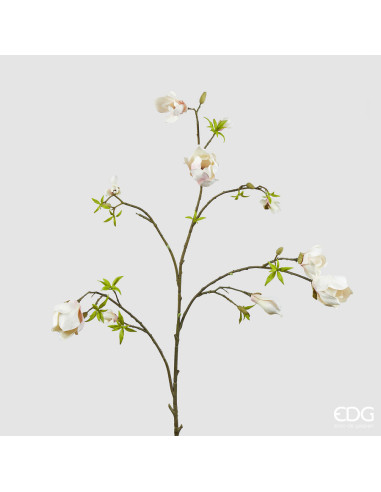 RAMO DE MAGNOLIA GRANDE