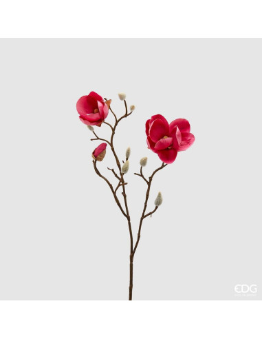 MAGNOLIA STELL FUCSIA