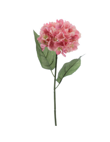 FLOR HYDRANGEA CREMA