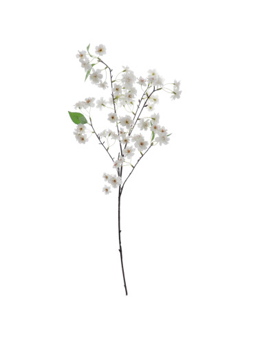 RAMA CEREZO JAPONES CREMA