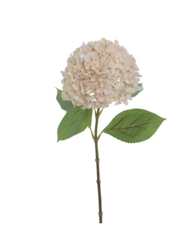 FLOR HYDRANGEA BEIGE