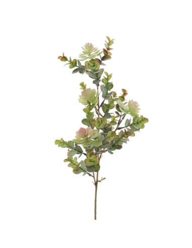 RAMA EUCALYPTUS SILVESTRE VERDE