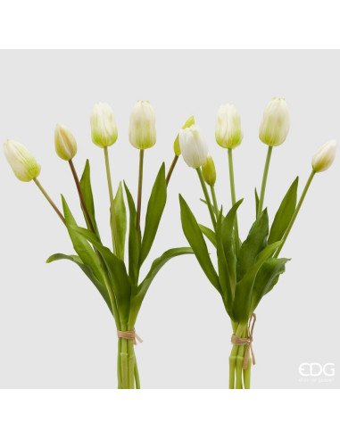 FLOR DE TULIPAN MARFIL