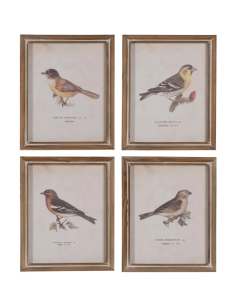 CUADRO IMPRESIÓN PAJAROS