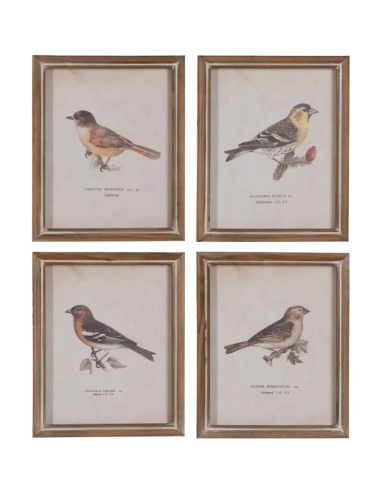 CUADRO IMPRESIÓN PAJAROS