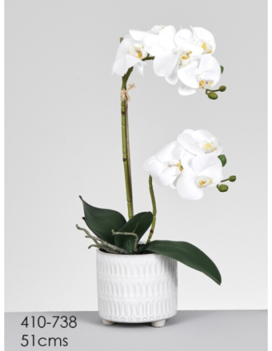 MACETA ORQUIDEA BLANCA