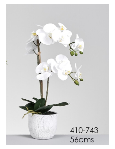 MACETA ORQUIDEA BLANCA 56 CMS