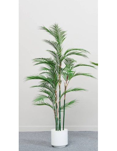 PLANTA PALMERA 150 CMS