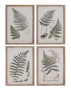 CUADRO IMPRESIÓN HELECHOS...