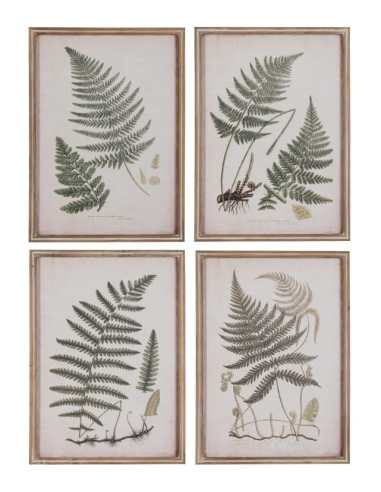 CUADRO IMPRESIÓN HELECHOS 43 X 2,5 X...