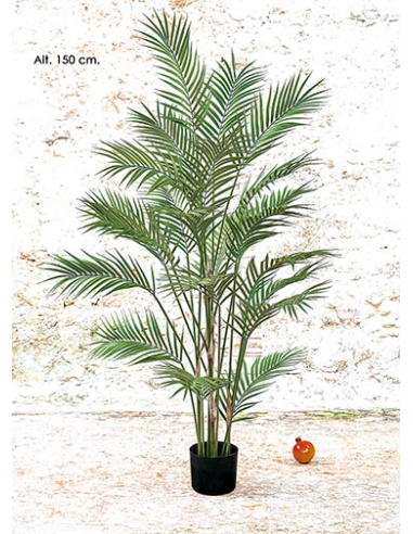 MACETA ARECA VERDE 150 CM