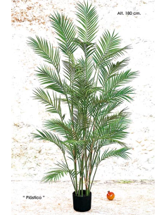 MACETA ARECA VERDE 180 CM