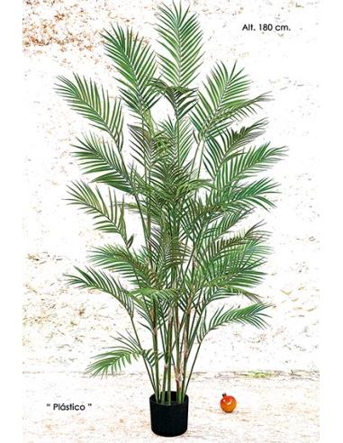 MACETA ARECA VERDE 180 CM