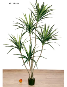 MACETA YUCCA VERDE 180 CM