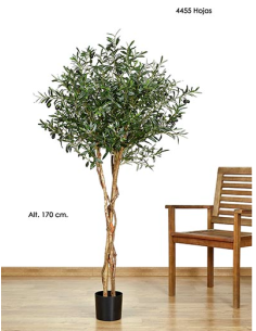 MACETA OLIVO VERDE 170 CM