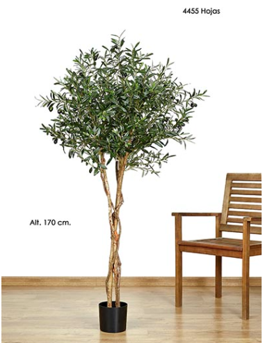 MACETA OLIVO VERDE 170 CM