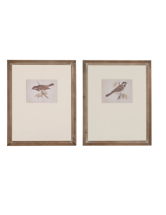 CUADRO IMPRESIÓN PAJAROS