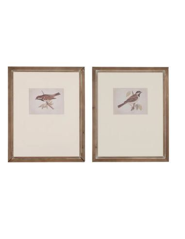 CUADRO IMPRESIÓN PAJAROS