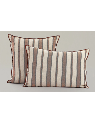 COJIN PIERDO CALDERA MIX 50x50