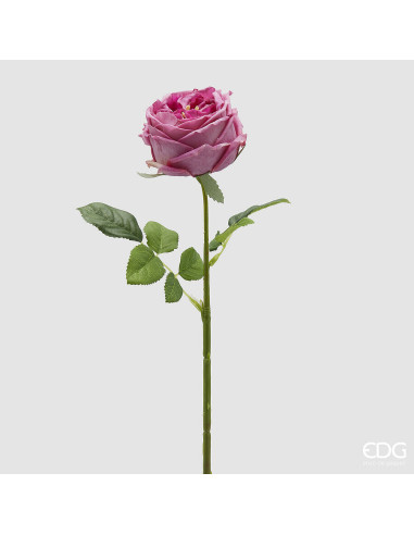 RAMA ROSA ELIDE