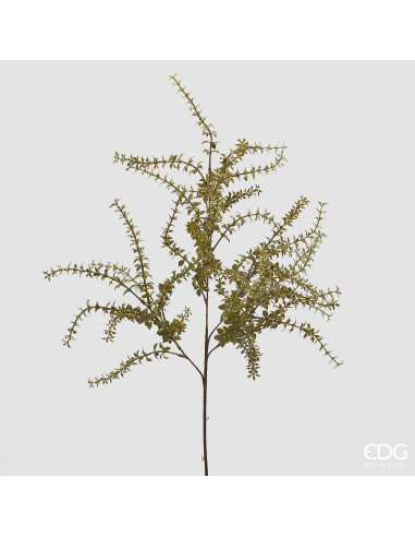 RAMO DE ELODEA SALVIA