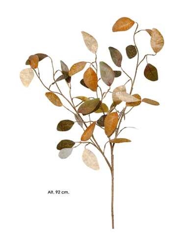 RAMA EUCALYPTHUS OTOÑO