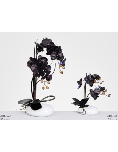 Planta eucalipto 165 cms