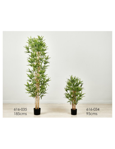 Planta bambu 95 cms