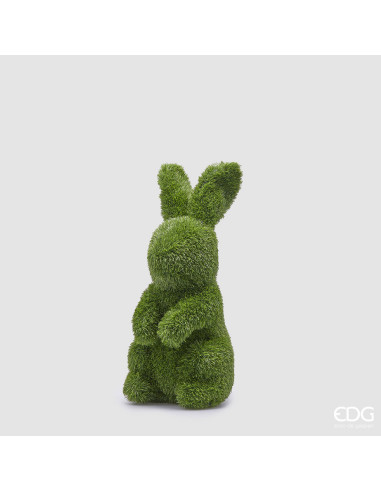 CONEJO PASCUA HIERBA