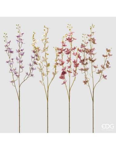 RAMA ORCHIDEA ONCIDIUM