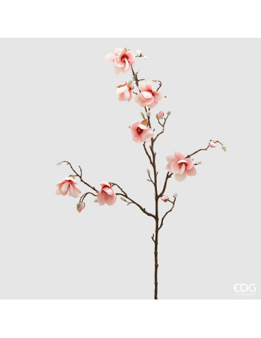 RAMA MAGNOLIA ROSA