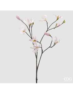RAMA MAGNOLIA BLANCA
