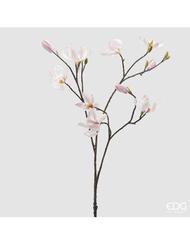 RAMA MAGNOLIA BLANCA