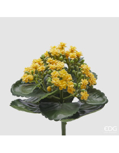 RAMO KALANCOE AMARILLO