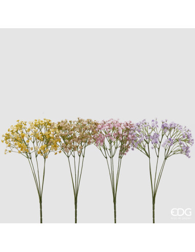 RAMA GYPSOPHILA MULTICOLOR