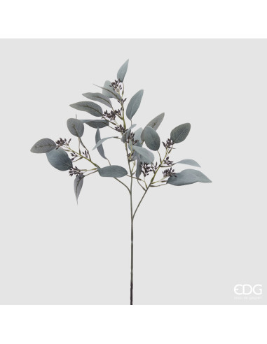 RAMA EUCALIPTO SAGE